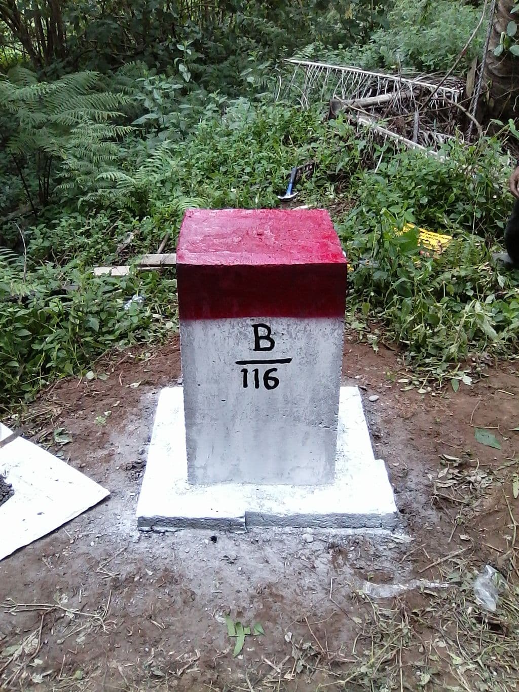 cbc423bb1971.jpg